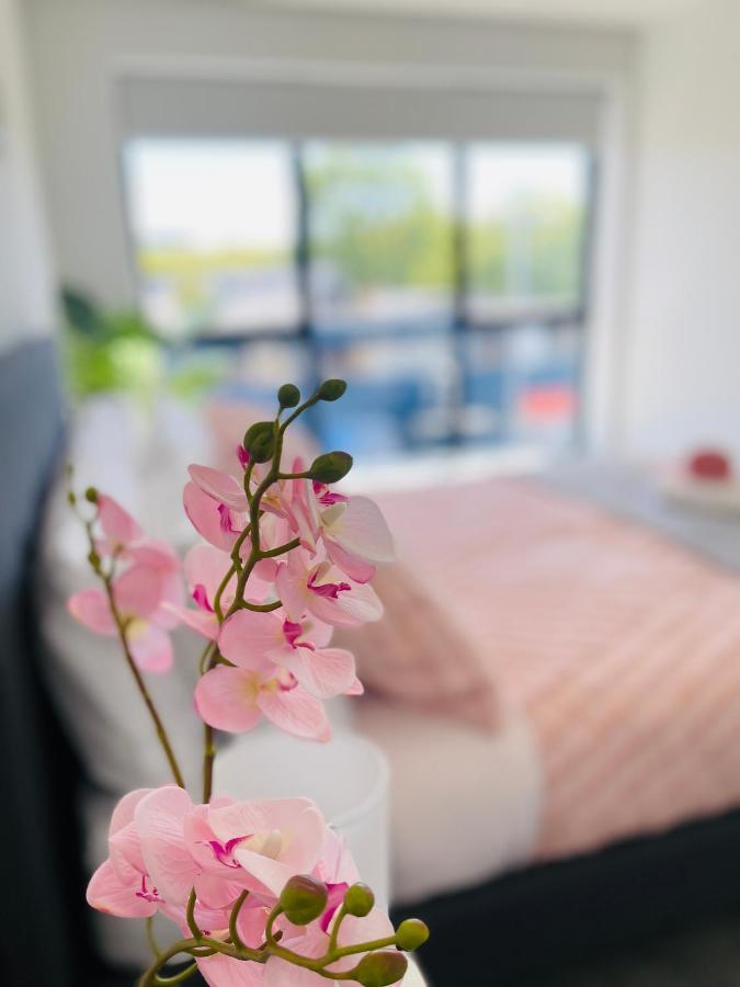 Walking Distance To Riverside Market & Hospital Christchurch Eksteriør bilde